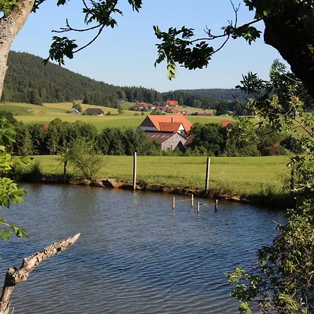 Kienbronnerhof Schiltach
