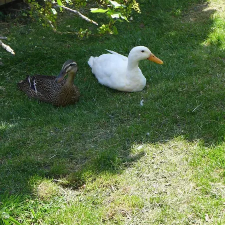 Διαμέρισμα Kienbronnerhof *