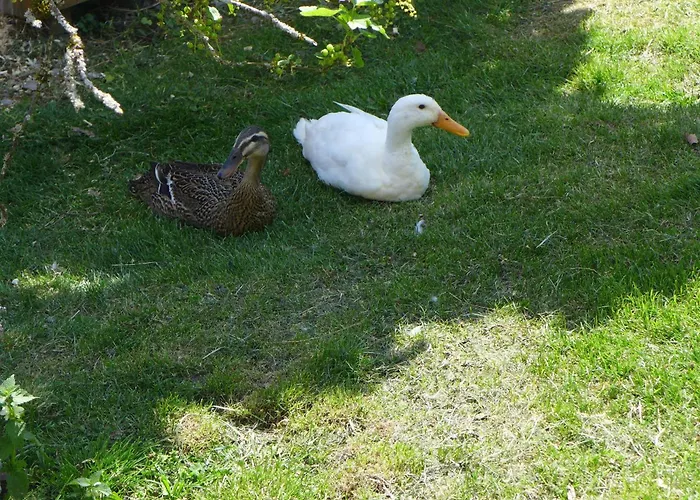 Appartement Kienbronnerhof *